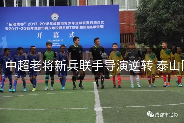 中超老将新兵联手导演逆转 泰山队2-1力克津门虎展现韧劲