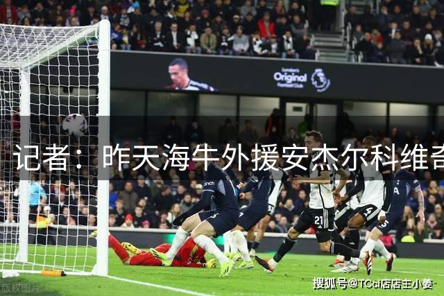 记者：昨天海牛外援安杰尔科维奇并未参加赛前适应场地训练